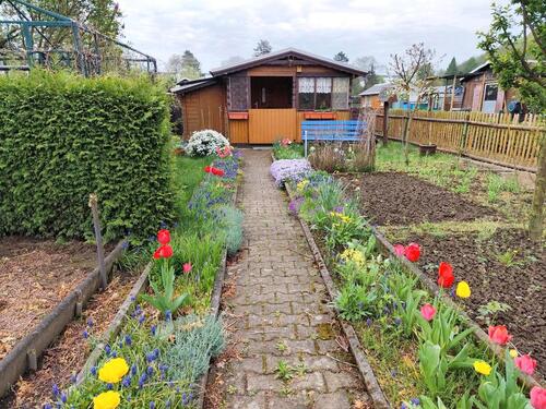 Foto - Gepflegter Kleingarten in Nähe Geibeltbad