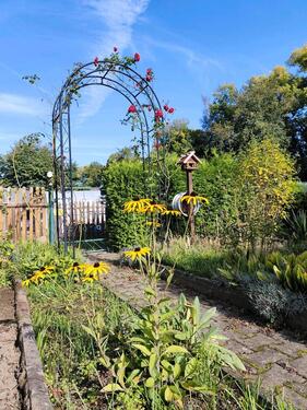 Foto - Grundst&uuml;ck in Pirna