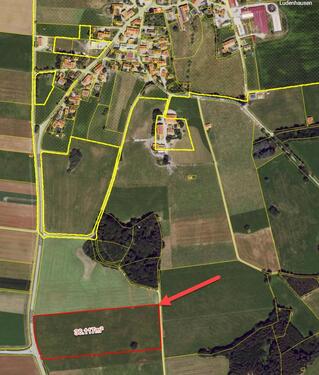 Foto - Landwirtschaftliche Fläche Grünfläche Grünland Wiese 3,6 Ha
