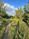 Foto - Kleingarten in Reutershagen Waldessaum