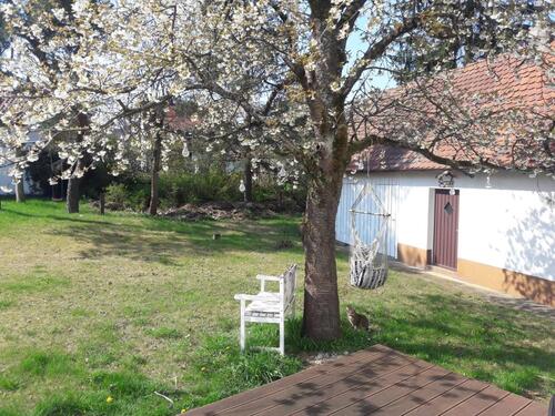 Foto - 4 Zimmer Einfamilienhaus zum Kaufen in Neumarkt in der Oberpfalz