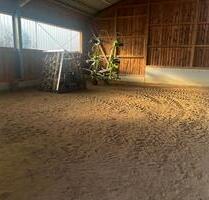 Halle Lager Scheune Mehrzweckhalle Maschinen Reithalle - Neustadt (Hessen)