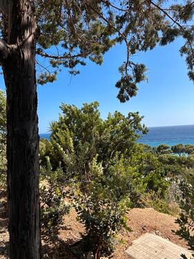 Foto - andere in Duisburg zur Miete