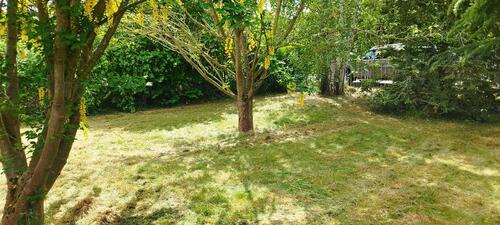 Foto - 5 Zimmer Einfamilienhaus zum Kaufen in Gräfenhainichen