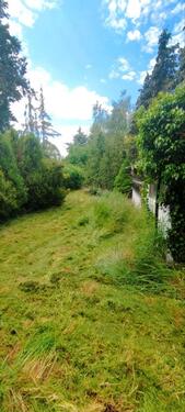 Foto - 5 Zimmer Einfamilienhaus in Gräfenhainichen