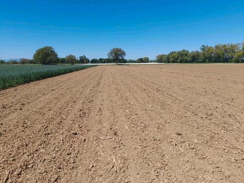 Foto - Freizeitgrundstück - 1.200,00&nbsp;EUR Kaltmiete, ca.&nbsp; 0,00&nbsp;m&sup2;