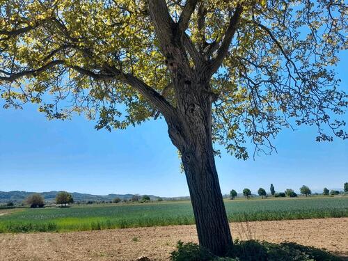 Foto - Grundst&uuml;ck zur Miete in Forchheim