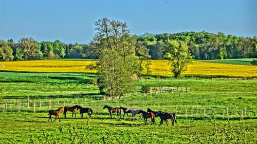 Foto - andere in Ratzeburg zur Miete