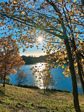 Foto - Familientreffen in der Vulkaneifel? Haus für bis zu 12 Personen