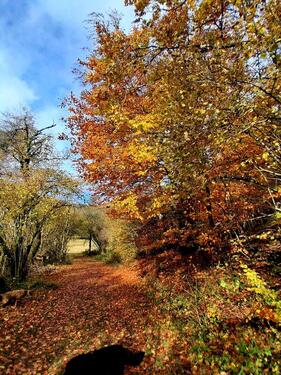 Foto - andere in Recklinghausen