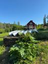 Foto - andere in Petershagen