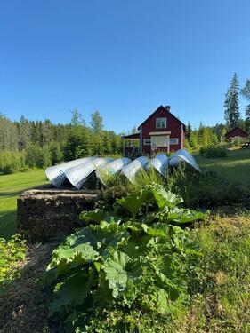Foto - andere in Petershagen