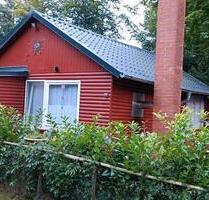 Sehr schönes Wochenend Häuschen Blockhaus zu verkaufen - Cloppenburg