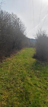 Foto - Grundst&uuml;ck zur Miete in Rehlingen-Siersburg