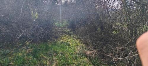 Foto - Grundst&uuml;ck in Rehlingen-Siersburg