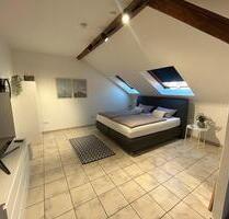 Top Möbliertes 1-Zimmer Studio Stadtmitte - Schweinfurt Gartenstadt