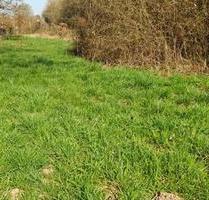 1000 m² Gemüsegarten pachten – Nähe Saarbrücken Saarlouis | - Rehlingen-Siersburg