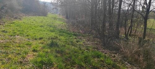 Foto - Grundst&uuml;ck zur Miete in Rehlingen-Siersburg