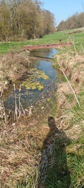 Foto - Grundst&uuml;ck in Rehlingen-Siersburg