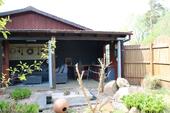 Foto - 