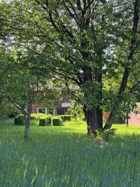 Foto - 5 Zimmer Bauernhaus, Landhaus zum Kaufen in Hanerau-Hademarschen