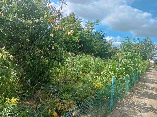 Foto - Grundst&uuml;ck zur Miete in Magdeburg