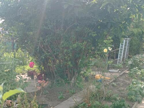 Foto - Grundst&uuml;ck in Magdeburg