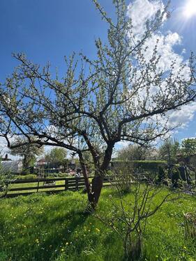 Foto - Grundst&uuml;ck in Waltershausen