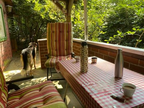 Foto - 3 Zimmer Einfamilienhaus zum Kaufen in Neustadt am Rübenberge