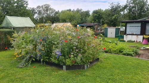 Foto - Grundst&uuml;ck in Lübeck zur Miete