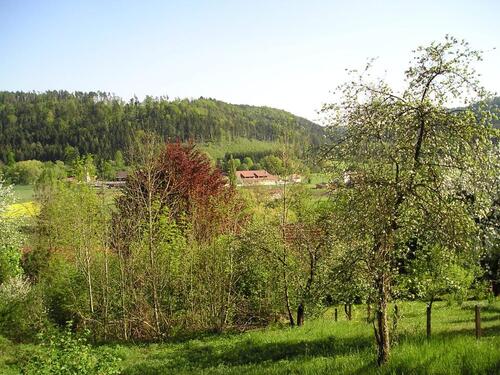 Foto - Freizeitgrunstück bei RottenburgTübingen zu verpachten