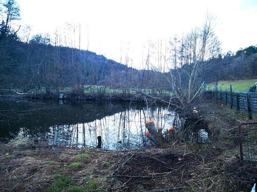 Foto - Gartengrundstück Teich zu verpachten