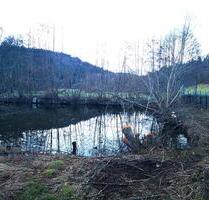 Gartengrundstück Teich zu verpachten - Frammersbach
