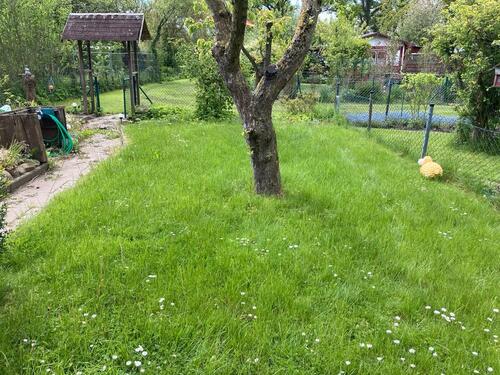Foto - Grundst&uuml;ck in Bad Schwartau