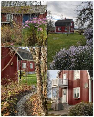 Foto - Ferienhaus, Südschweden, Västergötland, Moholm Lagerfors