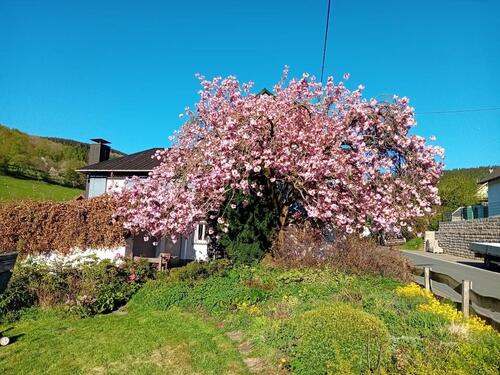 Foto - Ferienwohnung in Hilchenbach nahe Rothaarsteig