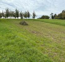 Garten zu verpachten - 50,00 EUR Kaltmiete, ca.  0,00 m² in Bühl (PLZ: 77815)