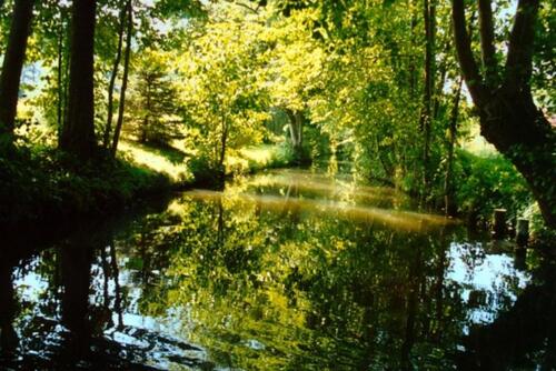 Foto - andere in Vetschau/Spreewald