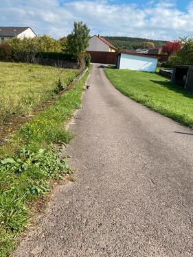 Foto - andere in Perl zur Miete