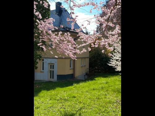 Foto - 6 Zimmer Einfamilienhaus zur Miete in Ulm