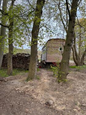 Foto - Etagenwohnung zur Miete in Greifswald