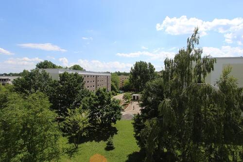 Foto - 