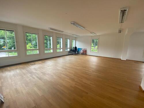 Foto - andere in Baierbrunn