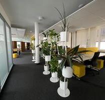Moderne Büroplätze - 750,00 EUR Kaltmiete, in Neckarsulm (PLZ: 74172)