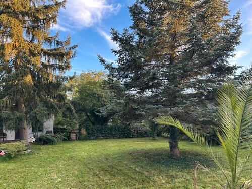 Foto - Einfamilienhaus in Zossen