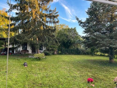 Foto - Einfamilienhaus in Zossen zum Kaufen