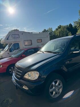 Foto - andere in Frankfurt (Oder)