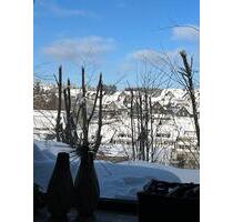 Wohnung mit 3 Schlafzimmern, ruhig und dennoch Zentral - Winterberg