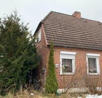 Rohdiamant mit Garten-Idylle Kiel-Wellingdorf Nähe Schwentinepark