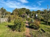 Foto - Garten zur Pacht in Leipzig-Mockau